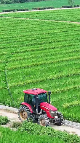 #recitationofquran #alquran #fyp #quran #quranrecitation #tilawat #قران #recitation_of_the_quran 