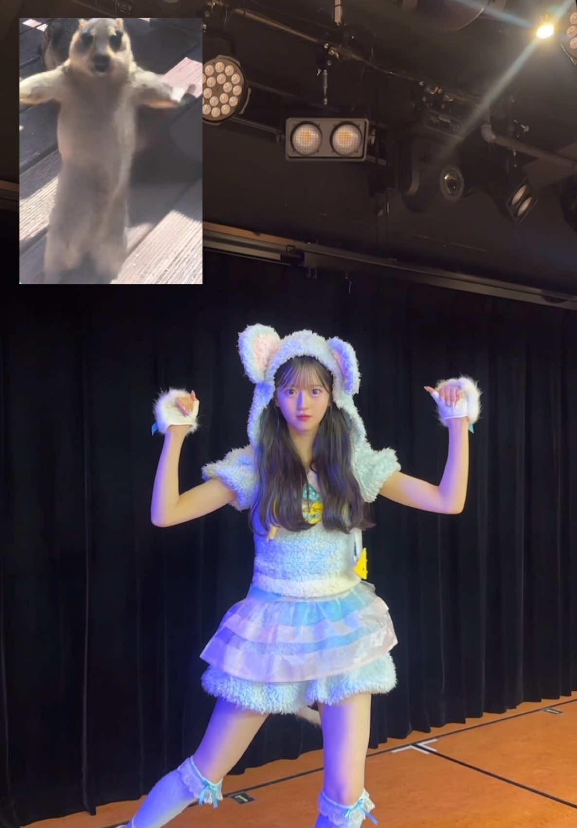 はっぴーはろうぃん🐭💃 #akb48 #fyp #おすすめ #05 #アイドル衣装 