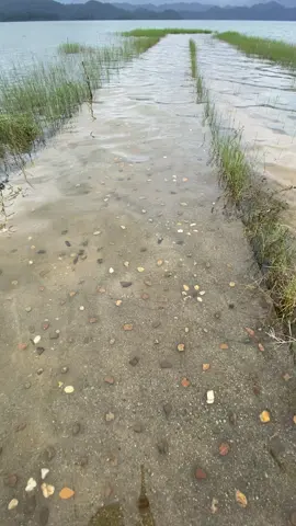 #fyp #fypage #4u #fouryou 