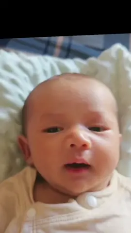 không biết có cô chú nào cho 🐍 con mượn không ta🤭🤭🤭