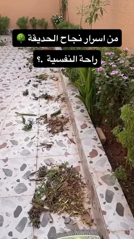 تنسيق حدائق مودرن  #اعلان #القهوة #الخرج_الرياض #الرياض 