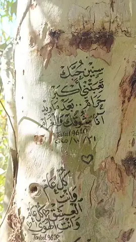 سنين حبك #شعر #زراعة #الخط_العربي #الوطن_العربي 