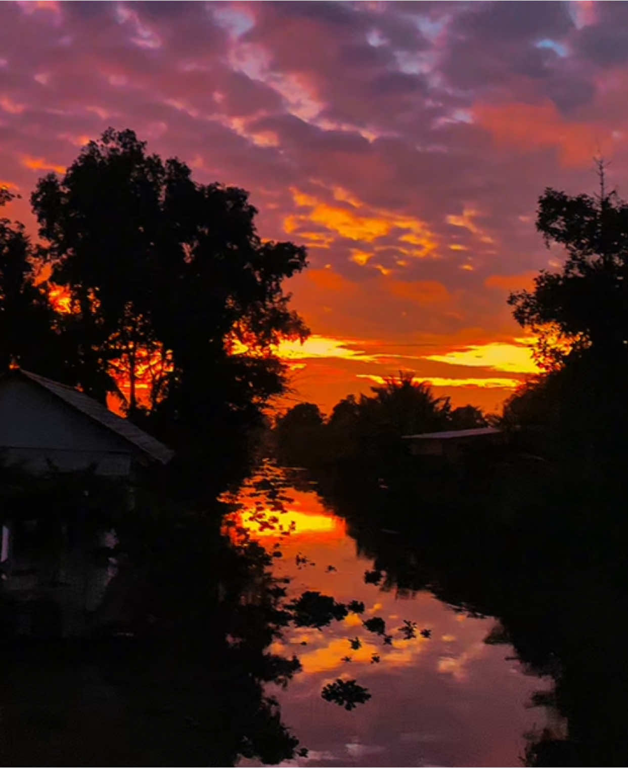 Phần 12 |”Hú hồn hú vía tía má cho anh rước em dìa rồi 🤭#xuhuong 