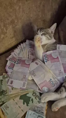 #kəşfet #kəşfetazərbaycan #kəşfet #kəşfet #kəşfet 