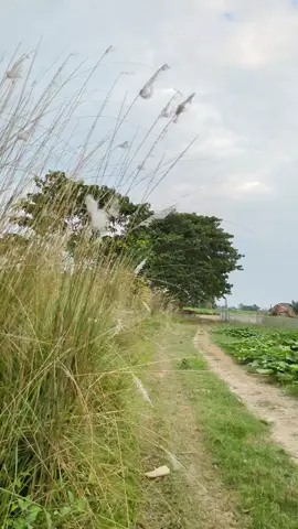 #তিনবার_কপি_লিংকে_ক্লিক_করেন #সবাই_একটু_সাপোর্ট_করবেন_প্লিজ #ফানি_ভিডিও😀😀😀😳 