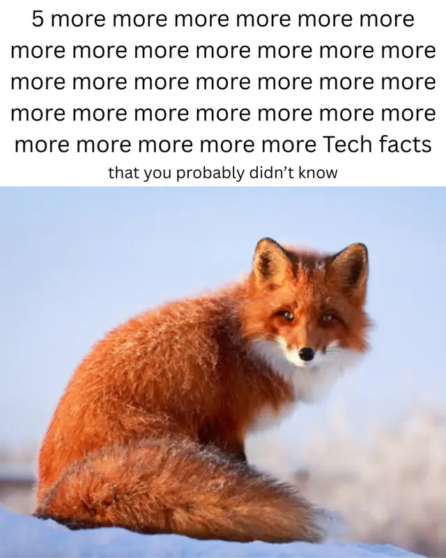 another day, another victory for the og- I mean another episode of tech facts! with more more's and more foxes as always!! #fyp #techtok #furry #femboy #trans 