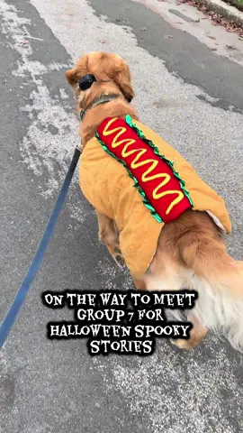 Tell me your spooky stories on Halloween#🎃 #dogtok #happyHalloween #spookyseason#dogmom 