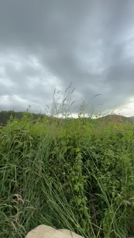 Ngày nào cũng như ngày nào🤧#xh #fyp #xhhhhhhhhhhhhhhhhhhhhhhh 