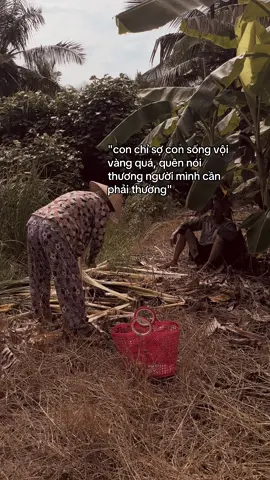 #giadinh #cuocsong #me #ba #xh 