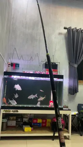 Ikan mudah ngene kok🤣🤣🤣#mancingmania#tawesbabon#mancingkali#mancinghappy#undlup  