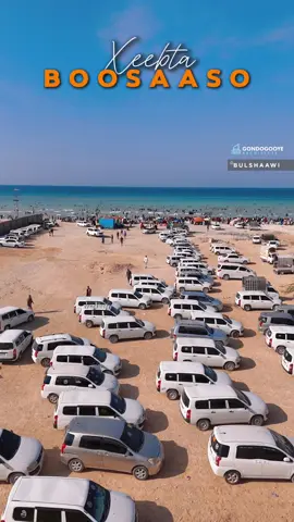 Xeebta Boosaaso oo ay shacabku Amni iyo Nabad ku dabaalanayaan 🔥❤️ #realbulshaawi #bulshaawi #puntland #bosaso #somalia 