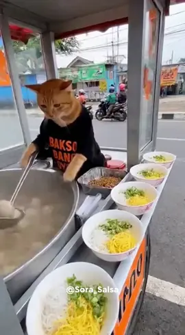 Ketika Oyen Jualan Bakso 🤣🤣🤣 Adakah yang Berani KOMPLAIN ??!😸😹😹 #ai #kucinglucu #cat #sora #fypindonesia