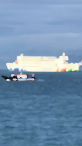 Uji sandar KMP DALOM LINTAS BERJAYA milik pemprov lampung,,yg informasi nya akan melayani lintas Expres Merak-Bakauheni #fyppppppppppppppppppppppppppppppppppppシ 