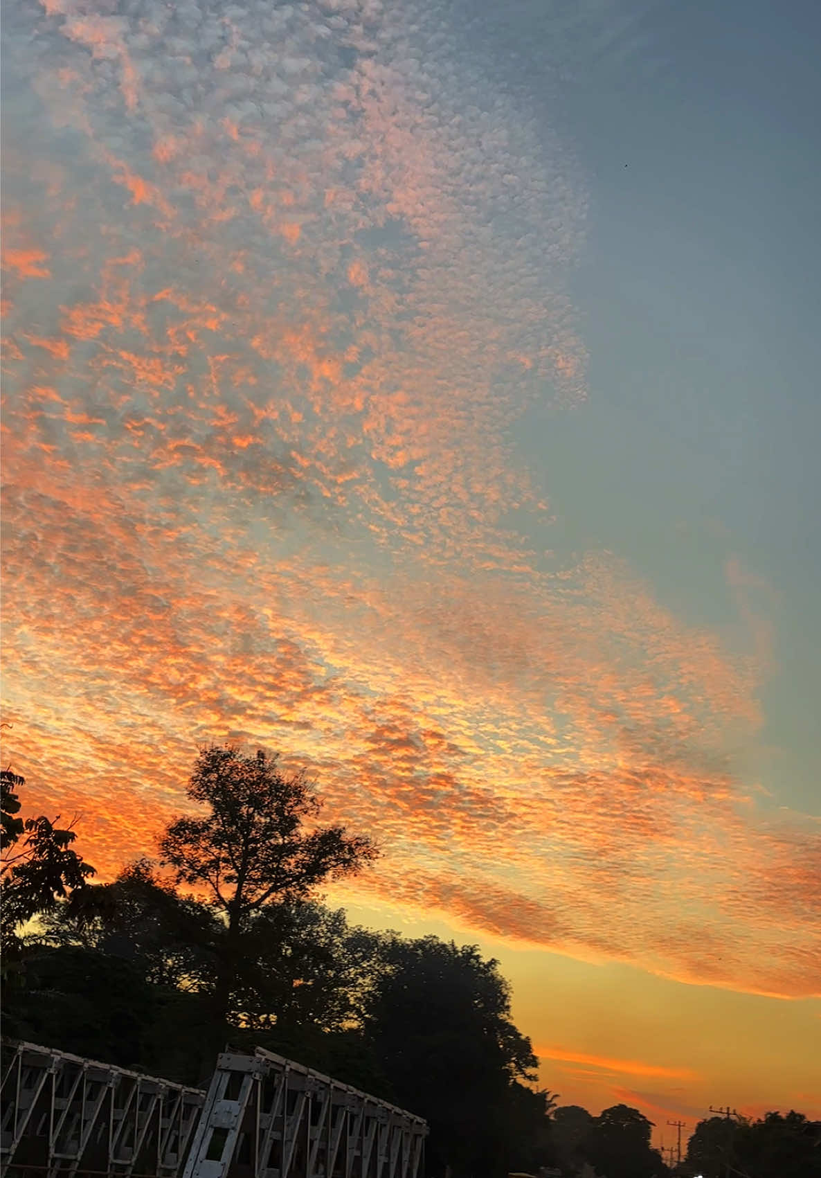 Cirrocumulus di sore hari, seperti potongan mimpi yang hanyut bersama cahaya #langit #awan #sky #astrophile #fyp