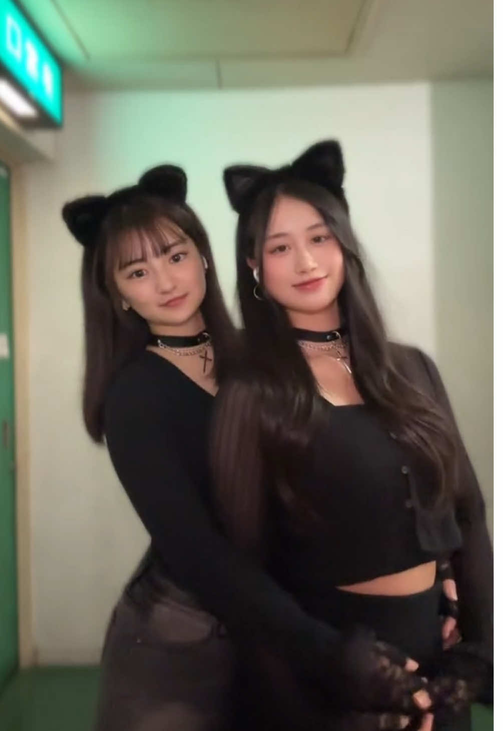 Happy Halloween🎃👻 #07 #兵庫 #おすすめ #ハロウィン #黒猫 