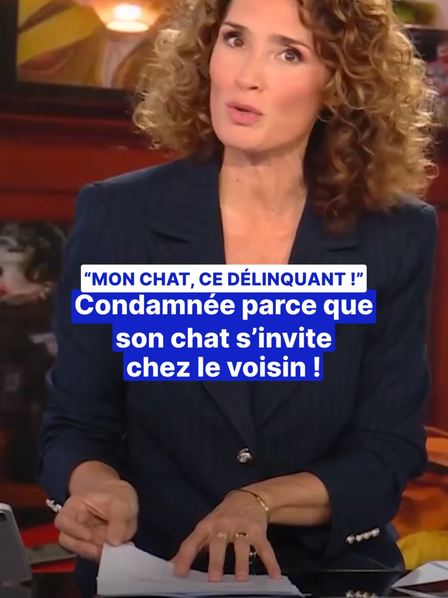 😬 Une décision de justice qui va faire réagir tous les propriétaires de chat ! À Béziers, Dominique a été condamnée par la justice car son chat, Rémi, se serait invité régulièrement chez le voisin. Ce dernier l'accuse d'avoir commis plusieurs dégradations. #TF1info #justice #chat