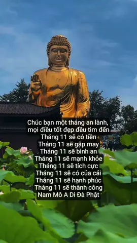 Tháng 11 sẽ có tiền Tháng 11 sẽ gặp may Tháng 11 sẽ bình an Tháng 11 sẽ mạnh khỏe Tháng 11 sẽ tích cực Tháng 11 sẽ có của cải Tháng 11 sẽ hạnh phúc Tháng 11 sẽ thành công #trietlycuocsong  #phatphapnhiemmau  #xuhuong  #tamtrang 