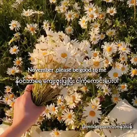 November လလေးကစပြီးကံကောင်းခြင်း အနိုင်ရရှိခြင်း ပျော်ရွှင်ခြင်းတွေကငါ့အတွက်ပဲ ဖြစ်ပါစေ လို့ energyယူလိုက်ပါ💛 #manifestation #november  #lavenderpan #ဆရာမလာဗန်ဒါပန် #fypပေါ်ရောက်စမ်း 