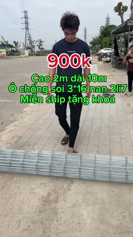 L.h o981.115.838 lưới kẽm Hoà Phát nhúng nóng làm hàng rào, chuồng trại chăn nuôi…#gàchiến #gàchoivietnam🇻🇳 #gà #gàchọiviệtnam #gàchọi 