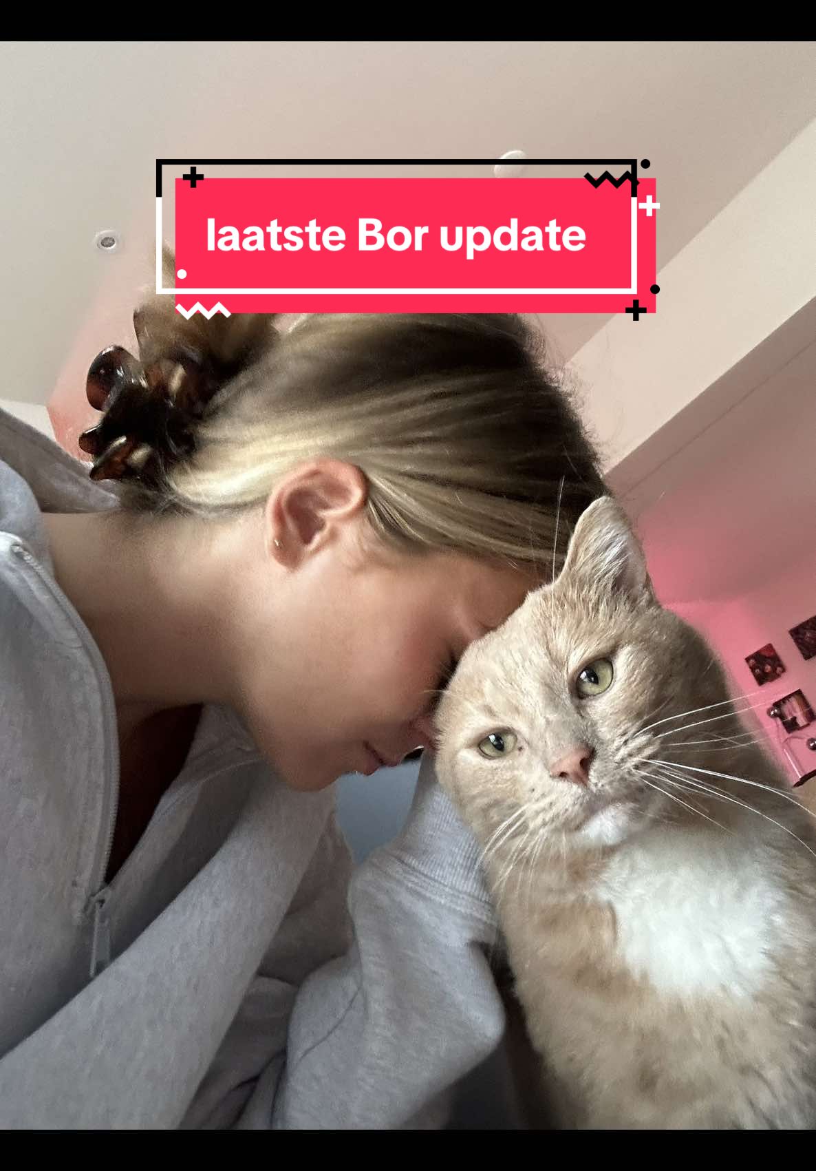 Replying to @lizaa End of an era😢 #fosterkatbor #foster #adoptdontshop 