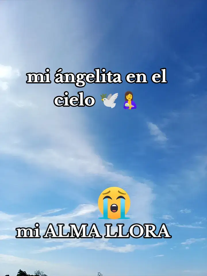 #todoelmundotiktok #tritezaprofunda💔 mi alma llora 😭😭🕊️🕊️🤱🤱🕊️🕊️hija mia me dueles