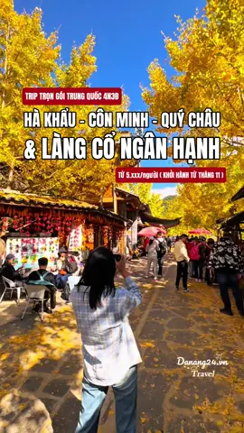 Muốn săn lá vàng mùa thu 🍂 tại Trung Quốc 🇨🇳 thì Note lại Trip Hà Khẩu - Côn Minh - Quý Châu & Làng cổ Ngân Hạnh trong 4 ngày 3 đêm trọn gói này nhé #trungquoc #dulichtrungquoc #guizhou #hellochina #tiktoktravel