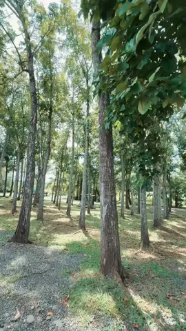 Thank you October ❤️