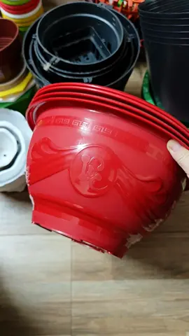 [ Combo 10 cái ] Chậu nhựa trồng cây T33 #giadungnhatlinh #chaunhua #nguoimoixaykenh #lenxuhuong_tiktok #chaunhuatrongcay 