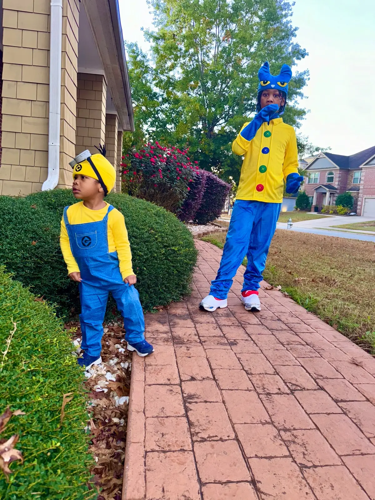 #happyhalloween #petethecat #minions 