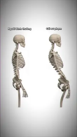 Lên vd mới không có mốc mất 🥲 #xuhuongtiktok #capcut #daihochoalu