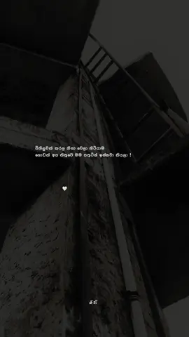 හ්ම්!❤️‍🩹 #mihi_quotes #fypシ゚viral #viralvideo #trending #whatsappstatus 