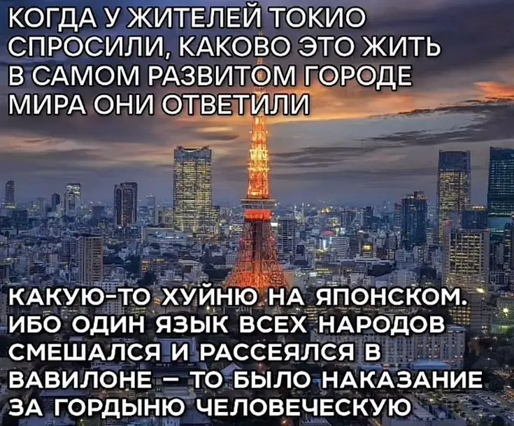 #щитпост #щитпосты #щитпостингубивает #щитпостинг #щитпостер 
