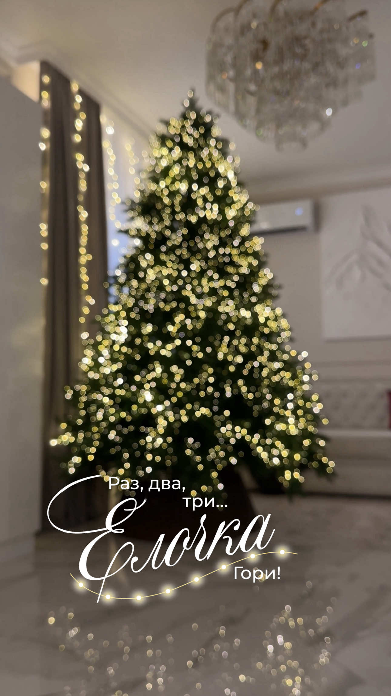 Раз, два, три… елочка гори! 