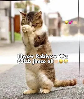 Love saar 😂💕☝🏻#meliss😍🙌🏻 #viralvideos #foryoupage #funnyvideos #fyppppppppppppppppppppppp 