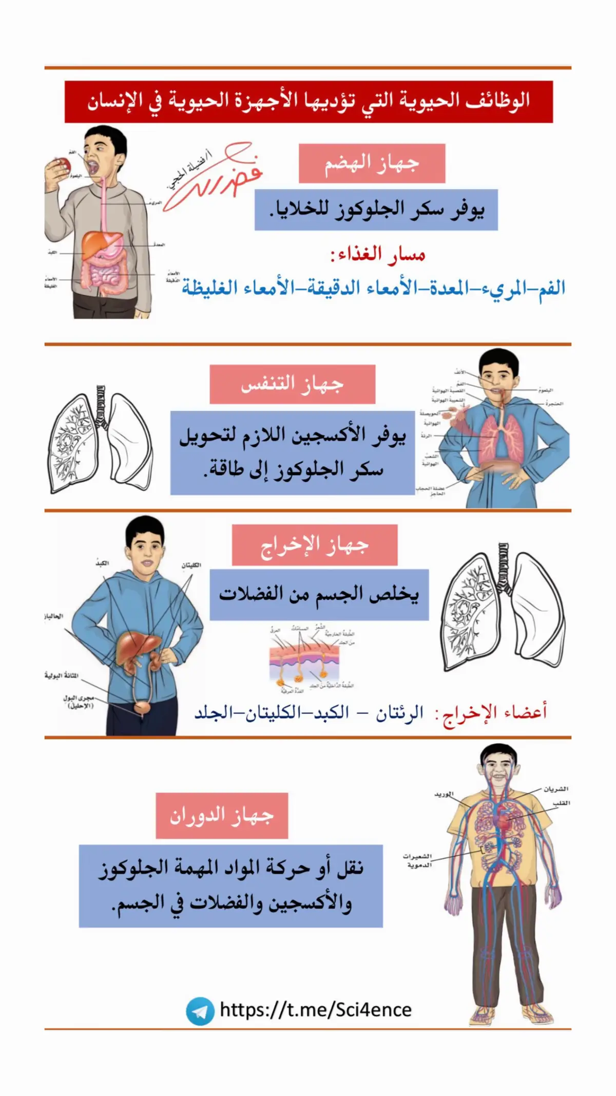 #علوم_سادس #التعليم