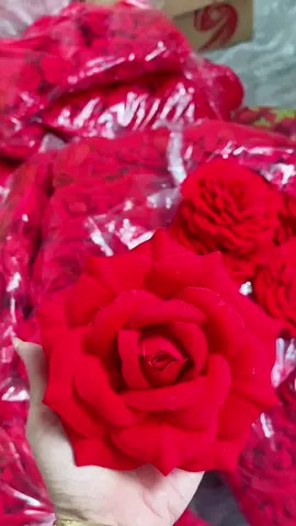 Combo hồng nhung cắm bình, trang trí nhà, trang trí hoa tết tháp bánh quà #hongnhung #hoatet #hoagia #hoatrangtri #phukientrangtritet 