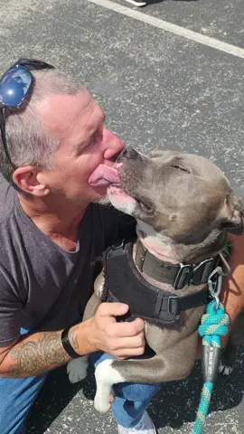 All we need is a little bit of love.     As I was pushed off the highway this morning by an inpatient driver I was reminded by who I used to be. I was the late, angry, self-centered A-Hole who was plowing my way through traffic only to still arrive late to my destination. I would be the one yelling at the car in front of me only to realize they didn’t have anywhere to go as well. It’s called traffic for a reason. I would stew and yell only to make my whole situation worse.       When we surround ourselves with darkness it eventually creeps into our bones. We may not even see it until late in our journey. I got tired of living that life and this dog has helped to spread lots of love instead of anger. That and a loving Father who has help shape the man I am today. We #keepgrinding  #spreadthelove #pittcrew #kiss #dog     