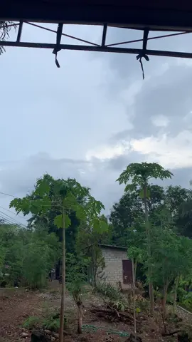 Obat keras😅#timur#nttpride🏝🔥 #fypシ 