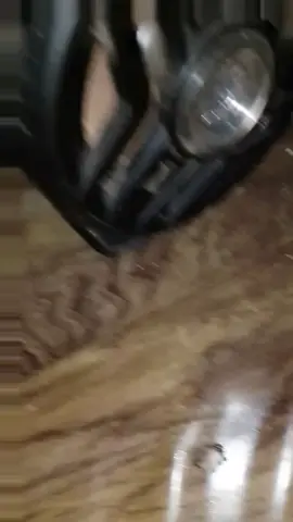 #creatorsearchinsights #viral #masukberanda 