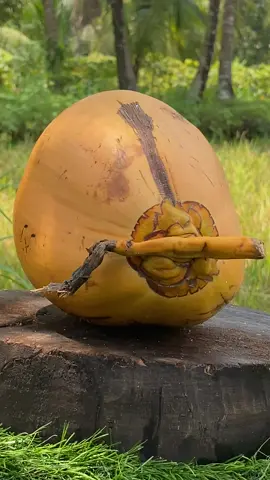 Pure Coconut ASMR #viral #coconut #satisfying #cuttingskills #asmr 