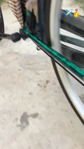 أضل شامخً علكمً وممدنكً الرأس 💥