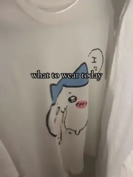 polyester king over here #fyp #foryoupage #chiikawa #hachiware #meimei 