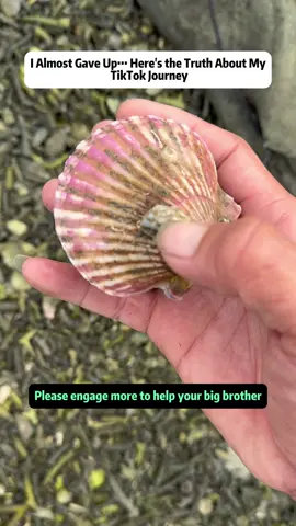 I Almost Gave Up… Here's the Truth About My TikTok Journey #sealife #oceanlife #beachlife #marinelife #supportsmallcreators 