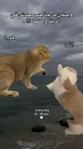 #CapCut #fyp #tiktok #viral #foryoupage 