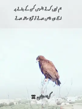 #foryoupagе #fyyp #unfrezmyaccount #growmyaccount #viralvideos 