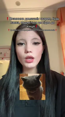 @ЗВІРОПОЛІС Ветеринарні центри Цим відео я не хочу просити допомоги. Я просто хочу щоб до цієї клініки більше ніхто не звертався. Допоможіть просунути мою історію і, можливо, це врятує життя саме Вашого хвостатика. Також хочу зазначити, що вчасне та правильне встановлення діагнозу моглоб просто продовжити життя Лунтіка, ніхто не каже про повне одужання (хоча, якщо б не втрачений час- це могло бути реальністю) Далі про препарат «Соленсія»: Соленсія – це ветеринарний препарат для котів у вигляді ін'єкцій, який допомагає полегшити біль, пов'язаний з остеоартритом. Він містить діючу речовину фруневетмаб, яка є моноклональним антитілом, що блокує білок (фактор росту нервів), що бере участь у передачі больових сигналів. Препарат вводиться підшкірно раз на місяць і не метаболізується печінкою чи нирками. #cat #домашнітварини #київ #допомога #fyp 