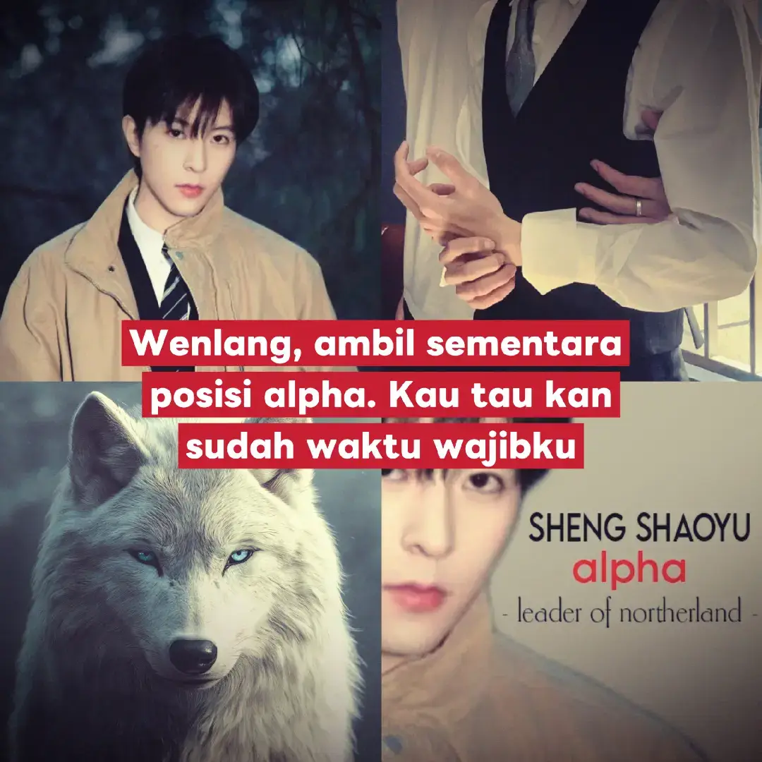 feromon Alpha Sheng Shaoyu termasuk hal yang sedikit ambigu. itu terasa seperti aroma jeruk manis yang segar dengan sedikit tambahan perisa vanila manis, terkesan menyengat dan membawa hawa panas yang menggairahkan. Kejadian buruk ketika feromon Shaoyu lepas membuatnya dengan siaga sekali menahan feromonnya agar tidak keluar. Beberapa gosip sering beredar, menyebut dirinya seorang alpha yang terkutuk tetapi itu tak pernah lebih dari sekedar angin kecil lalu, karena konkret nya adalah Sheng Shaoyu adalah alpha kelas tertinggi diseluruh alpha northerland. Shaoyu adalah yang tertinggi dan itu hancur ketika manusia gila datang dan menancapkan taringnya pada kelenjar feromon Shaoyu, merusaknya dalam hingga Shaoyu berpikir untuk mati hari itu juga. ni kalau sampai dibanned krn slide terakhir ak sih pundung wkwk. #abodesire #au #eliothuang #jiangli #kipukaqiu 