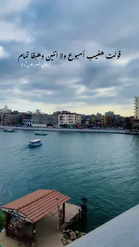 🫩 @دنيا الألفي ❤️  #ريلز #تريند #دمياط_الجديدة 