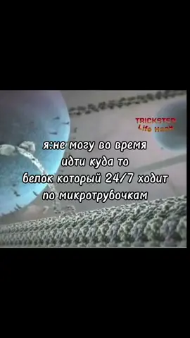 мне их жаль#белок#микротрубочка #организм