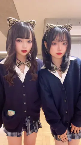 ハロウィン当日はヒョウ猫🐆🖤今年は計8回ハロウィン!!どれが1番可愛かった？#07 #ljk #京都 #fyp 